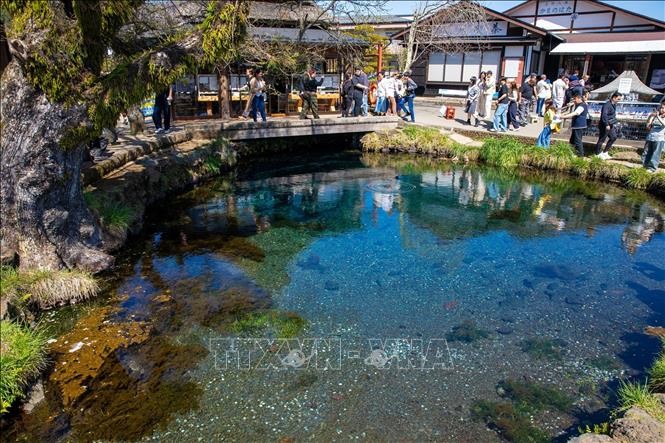 Vẻ đẹp cổ tích của ngôi làng cổ dưới chân núi Phú Sĩ ảnh 1