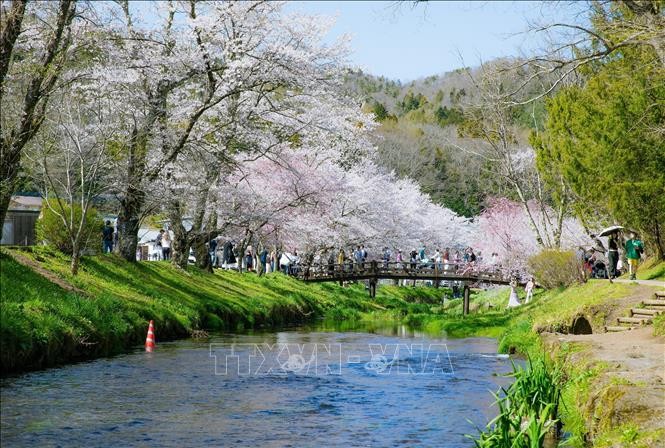 Vẻ đẹp cổ tích của ngôi làng cổ dưới chân núi Phú Sĩ ảnh 5