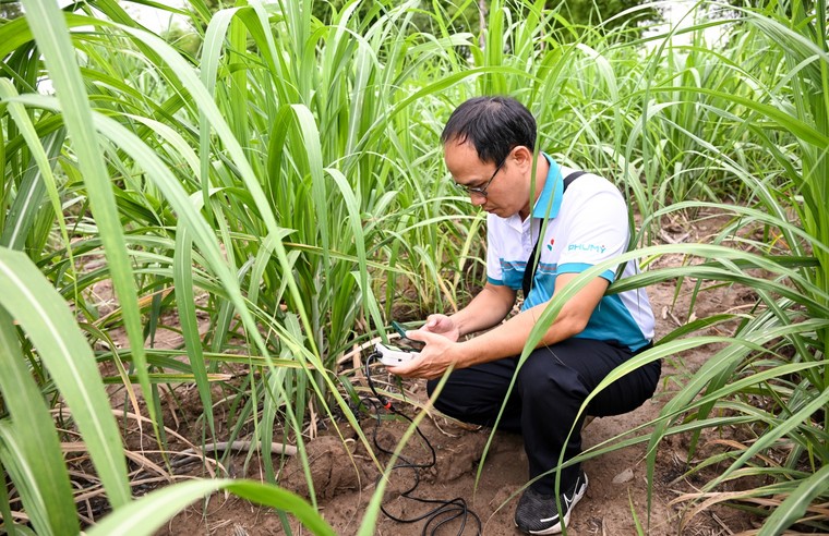 Phú Mỹ tăng cường hợp tác phát triển nông nghiệp tại Lào ảnh 1