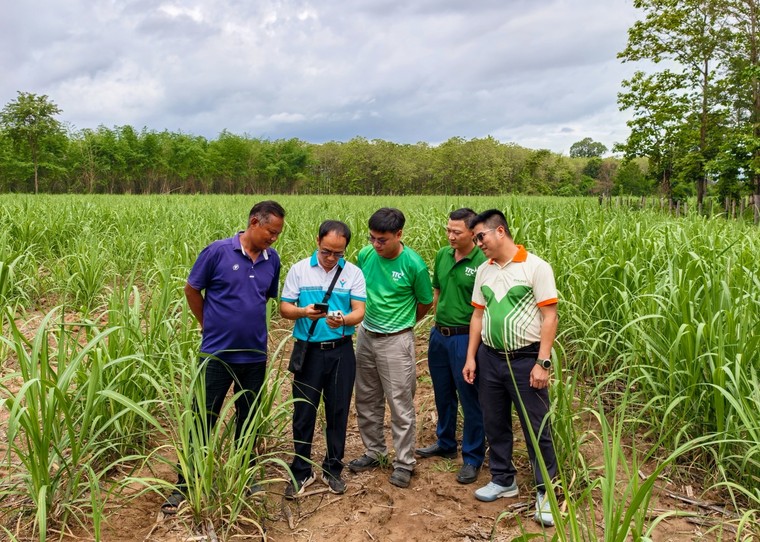 Phú Mỹ tăng cường hợp tác phát triển nông nghiệp tại Lào ảnh 4