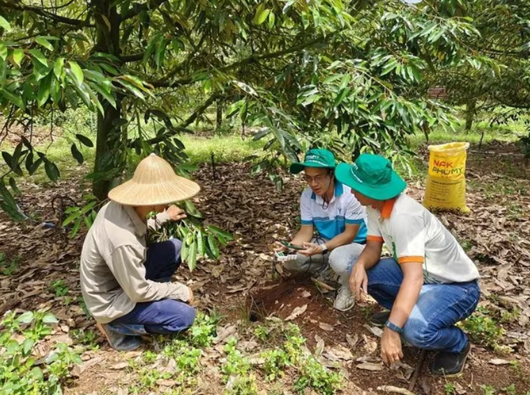 Nửa đầu năm 2026: PVFCCo – Phú Mỹ bứt phá tăng trưởng toàn diện ảnh 2