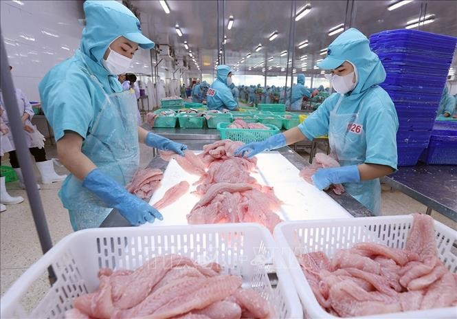 Tạo nền tảng vững chắc cho một chu kỳ tăng trưởng mới sau 40 năm đổi mới ảnh 1