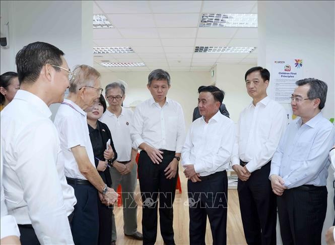 Việt Nam - Singapore: Tăng cường gắn kết chính trị, văn hóa và giao lưu nhân dân ảnh 2