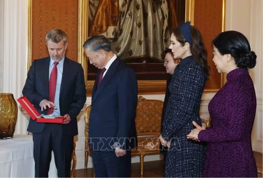 Tổng Bí thư, Chủ tịch nước Tô Lâm và Phu nhân hội kiến Nhà Vua Đan Mạch và Hoàng hậu ảnh 5