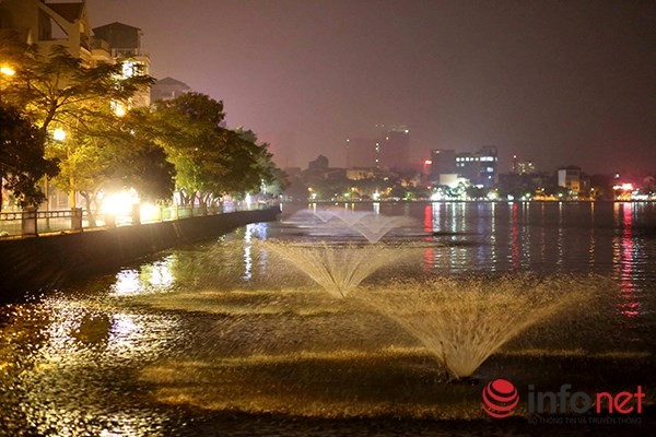 200 tấn cá chết ở Hồ Tây được đưa đi đâu? ảnh 10