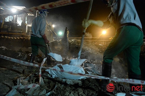 200 tấn cá chết ở Hồ Tây được đưa đi đâu? ảnh 6