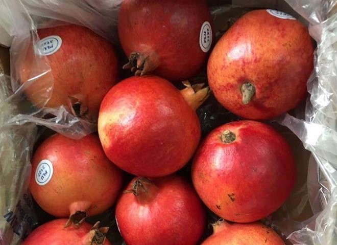 Quả lựu khổng lồ giá 350.000 đồng/kg tại Hà Nội ảnh 1