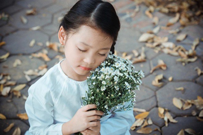 Bé gái mặc áo dài chụp ảnh cùng cúc họa mi ảnh 1