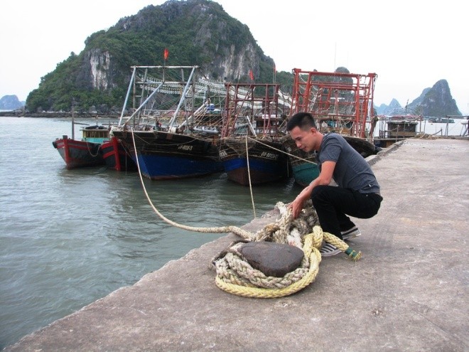 Dân Quảng Ninh chằng nhà, gặt lúa chạy đua với bão ảnh 1