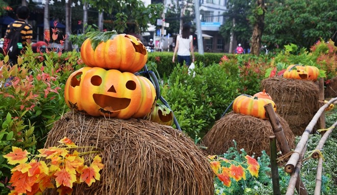Vườn bí ngô hút khách dịp Halloween ở Sài Gòn ảnh 1