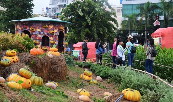 Vườn bí ngô hút khách dịp Halloween ở Sài Gòn ảnh 3