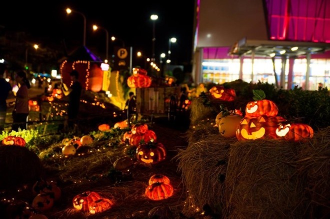 Vườn bí ngô hút khách dịp Halloween ở Sài Gòn ảnh 6