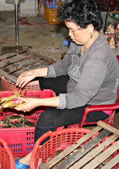 Trung Quốc giảm mua, cua biển Cà Mau lại rớt giá ảnh 1