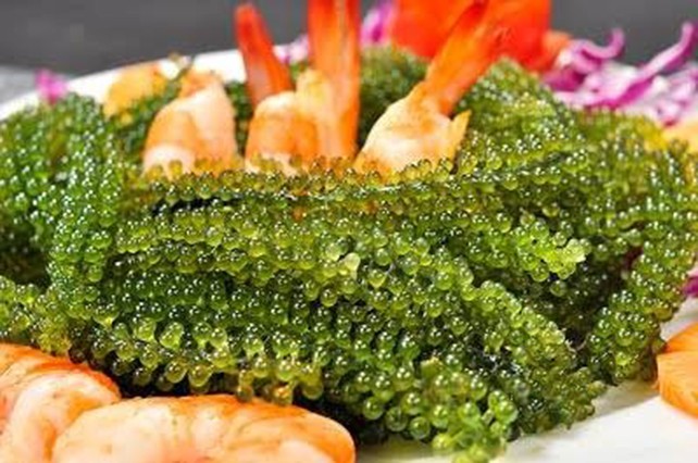 Rong nho miền Nam đi máy bay ra Hà Nội ảnh 1