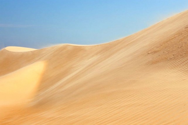 Trekking qua những đồi cát tuyệt đẹp ở Bình Thuận ảnh 6