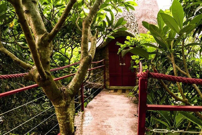 Homestay trên cây ở ngoại thành Hà Nội ảnh 3