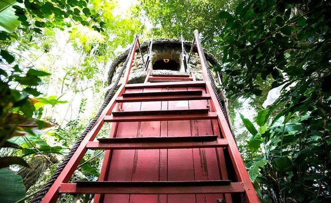 Homestay trên cây ở ngoại thành Hà Nội ảnh 6