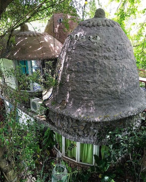 Homestay trên cây ở ngoại thành Hà Nội ảnh 8