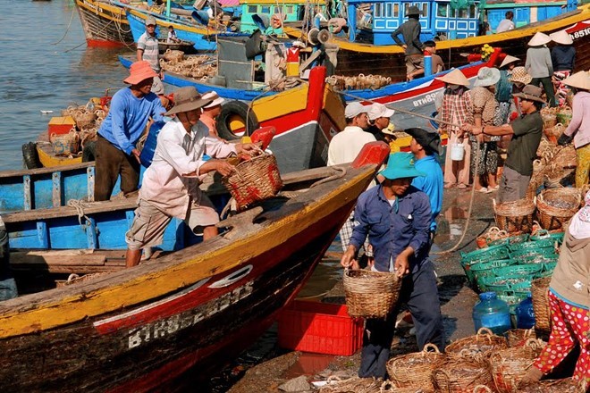 Nghe công bố asen, khách dọa trả nước mắm cho doanh nghiệp ảnh 1