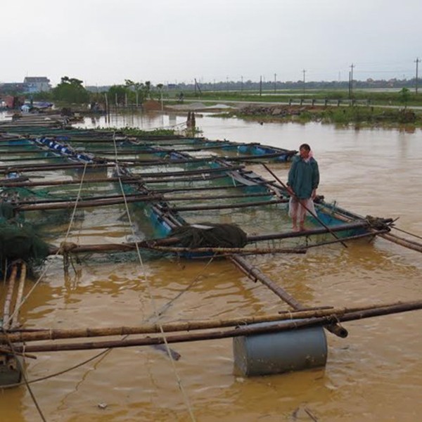 Quảng Bình: Lũ trở lại, đoàn cứu trợ mắc kẹt ảnh 5