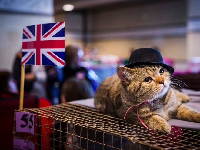 10 quốc gia giàu có và hạnh phúc nhất thế giới ảnh 10