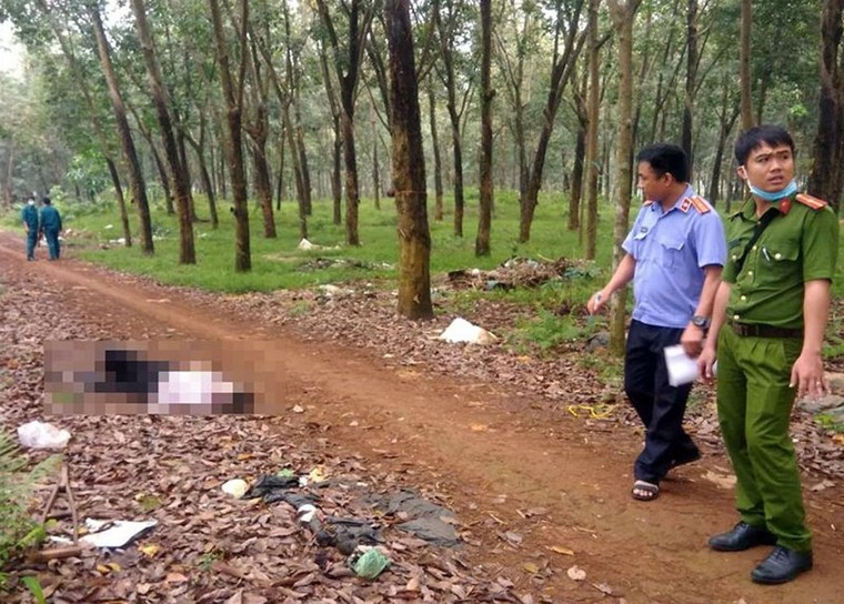 Phát hiện xác người đàn ông bán vé số trong lô cao su ảnh 1