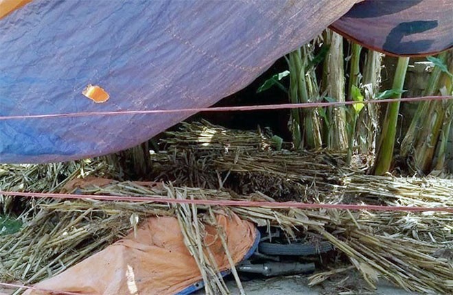 Nghệ An: Án mạng khiến 1 người chết, 1 người nguy kịch ảnh 1