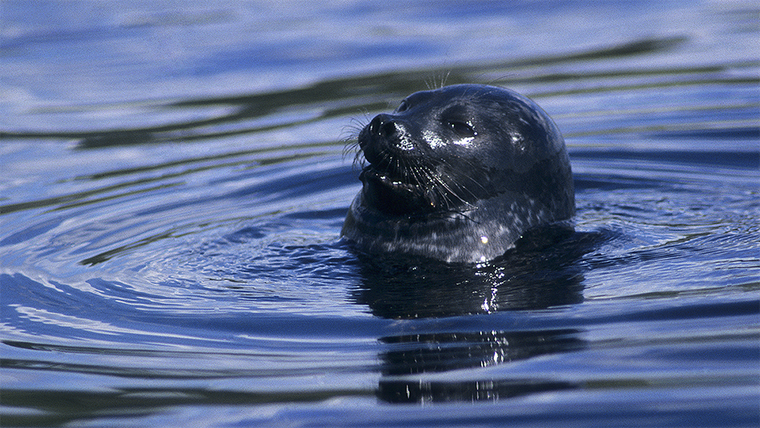 Tám thành viên mới gia nhập Mạng lưới Công viên địa chất toàn cầu của UNESCO ảnh 1