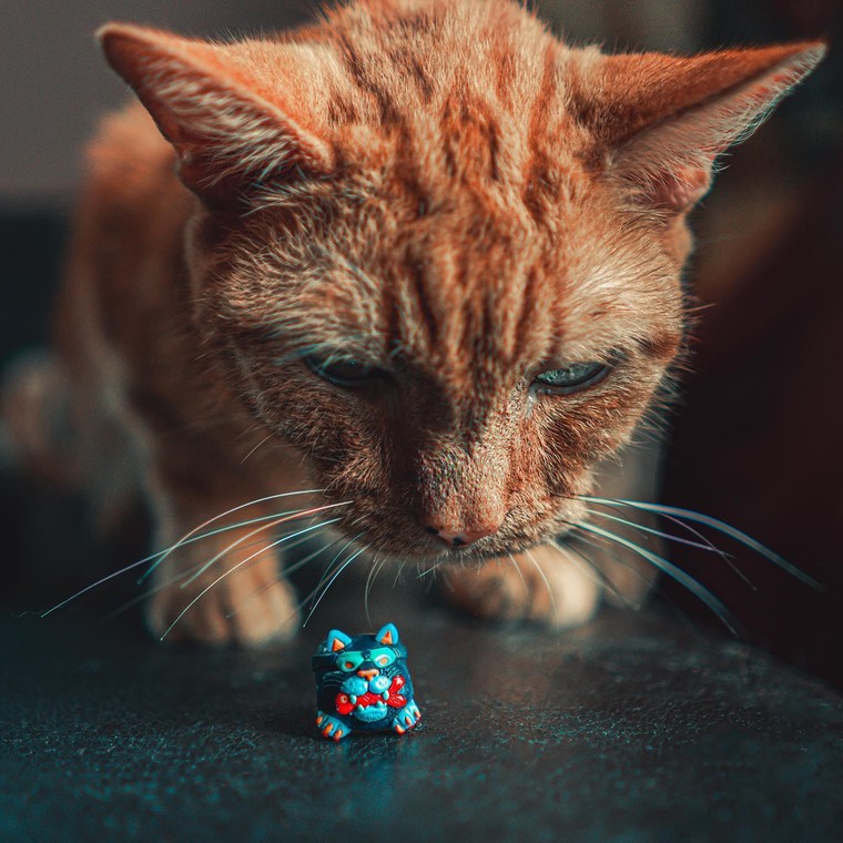 Linh hồn bàn phím và sức sáng tạo vô hạn của người Việt trẻ ảnh 10