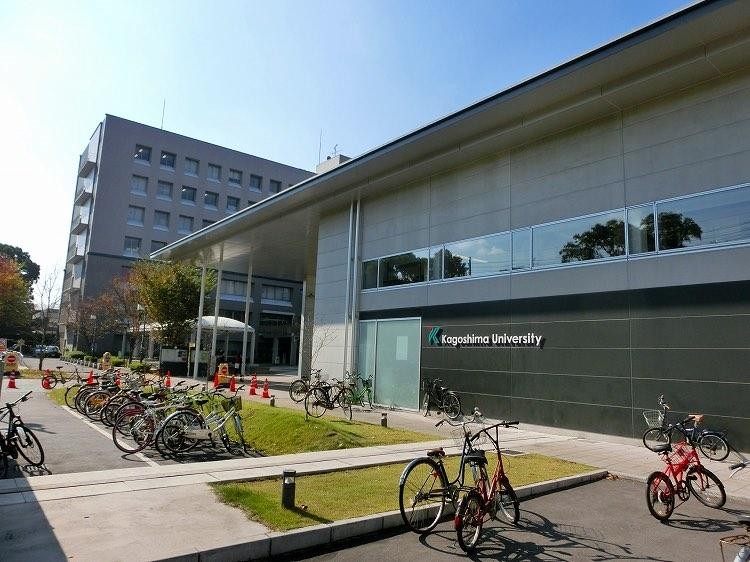 Cánh cửa đến Nhật Bản du học có hẹp lại vì COVID-19? ảnh 2