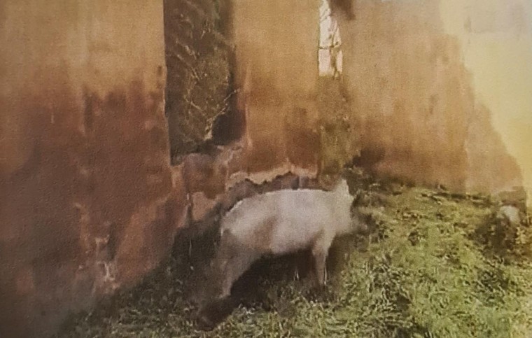 Quân đội Armenia phá hủy tài sản văn hóa của Azerbaijan, vi phạm nghiêm trọng Công ước UNESCO 1970 ảnh 11