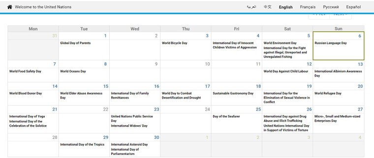 Ý nghĩa và cách lựa chọn các Ngày Quốc tế của Liên hợp quốc ảnh 2