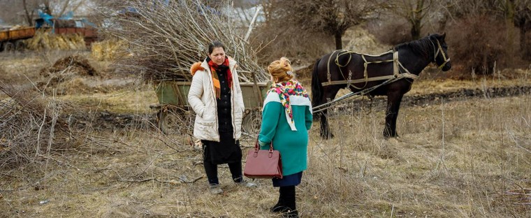 'Tôi thực sự không muốn trở thành một người vợ ở tuổi 14' ảnh 5