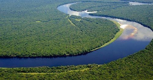 Congo: Vườn quốc gia Salonga được đưa ra khỏi Danh sách Di sản Thế giới đang bị đe dọa ảnh 3