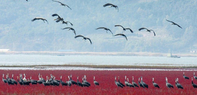 UNESCO công bố thêm bốn Di sản Thiên nhiên và ba Di sản Văn hóa mới ảnh 3