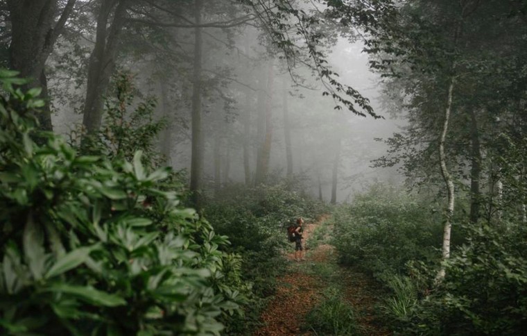 UNESCO công bố thêm bốn Di sản Thiên nhiên và ba Di sản Văn hóa mới ảnh 7