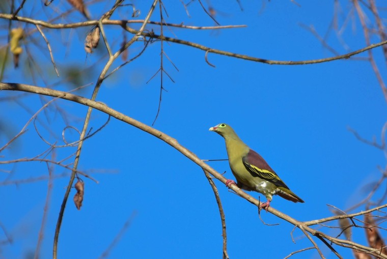 UNESCO công bố thêm bốn Di sản Thiên nhiên và ba Di sản Văn hóa mới ảnh 5