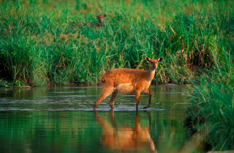 UNESCO công nhận thêm 5 di sản thế giới mới vào ngày cuối cùng của đợt xét duyệt năm 2021 ảnh 10