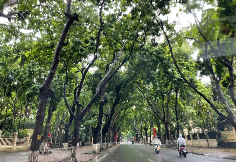 Thủ đô đón một mùa tựu trường vắng lặng ảnh 8