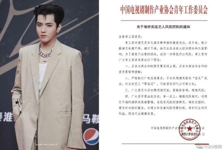 Phong sát: Chiến dịch thanh lọc hay hố đen của ngành giải trí Trung Quốc ảnh 3