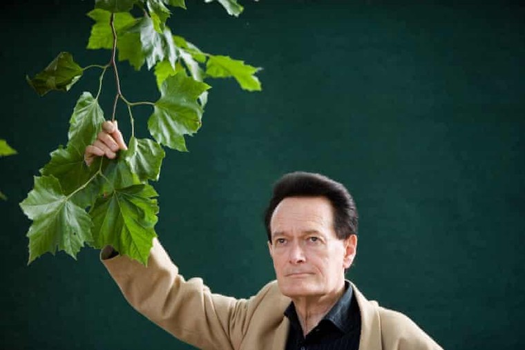 Phim tài liệu 'The Lost Leonardo': Sự thật đằng sau bức tranh đắt nhất thế giới ảnh 6