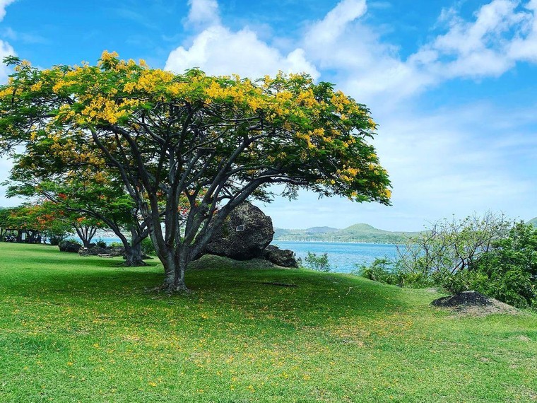 20 Khu dự trữ sinh quyển thế giới vừa được UNESCO công nhận - Phần 1 ảnh 5