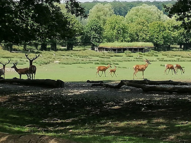 20 Khu dự trữ sinh quyển thế giới vừa được UNESCO công nhận - Phần 1 ảnh 7