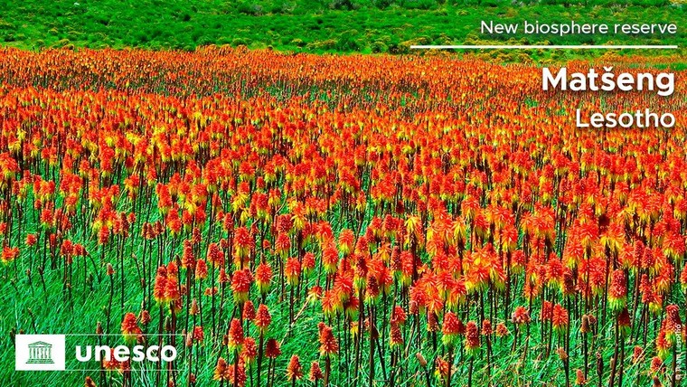 20 Khu dự trữ sinh quyển thế giới vừa được UNESCO công nhận - Phần 1 ảnh 14