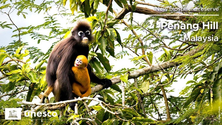 20 Khu dự trữ sinh quyển thế giới vừa được UNESCO công nhận - Phần 1 ảnh 16