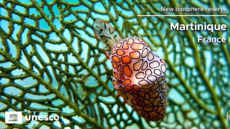 20 Khu dự trữ sinh quyển thế giới vừa được UNESCO công nhận - Phần 1 ảnh 4