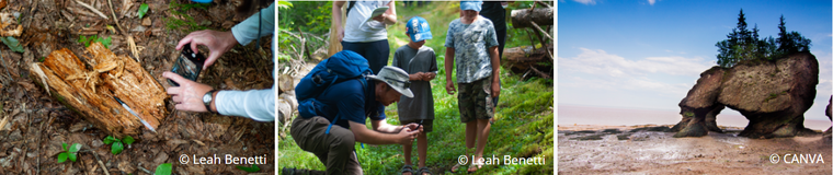 Công viên địa chất toàn cầu của UNESCO nỗ lực hành động chống biến đổi khí hậu ảnh 1