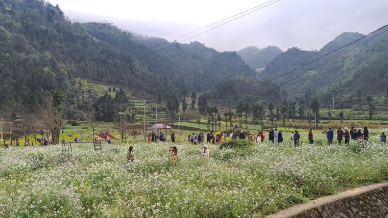 Hà Giang: Sắc màu của Tết ảnh 1