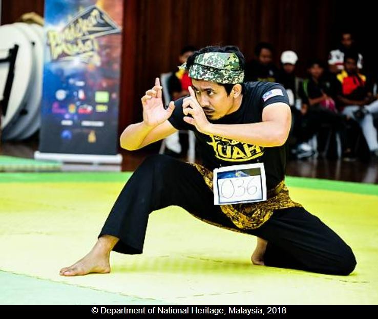 7 môn võ được UNESCO công nhận là Di sản Văn hóa phi vật thể ảnh 16