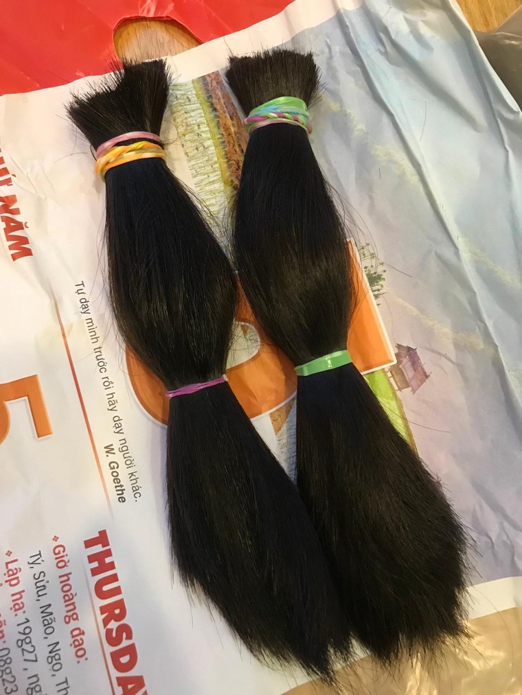 Gần 500 người hâm mộ BTS tại Việt Nam tham gia hiến tóc cho bệnh nhân ung thư ảnh 5